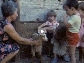 Establos de la Familia Cruz en el Cortijo de Tercia. Hacia 1977. San Jerónimo (Sevilla, España)